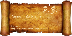 Pammer Zalán névjegykártya